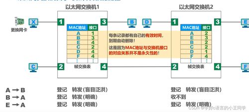 集線器與交換機 網絡連接的核心差異與演進