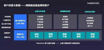 2019全球數(shù)字價值峰會 WakeData李柯辰——以數(shù)據(jù)為橋，連接品牌與客戶